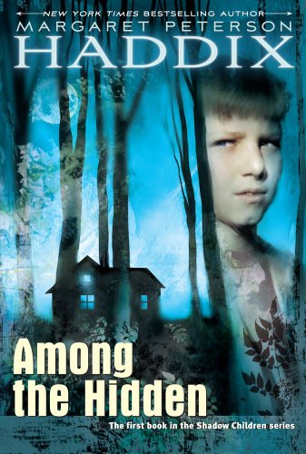 Among the hidden essay